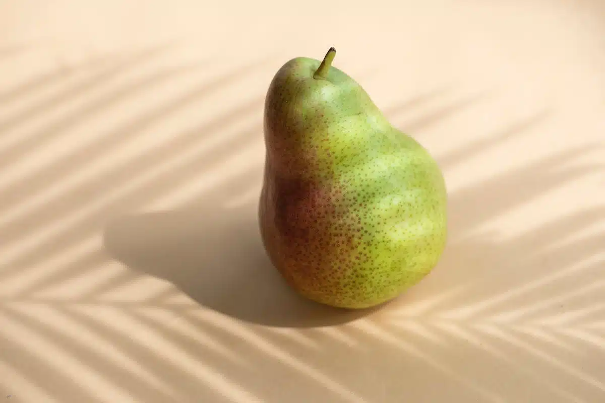 référencement naturel